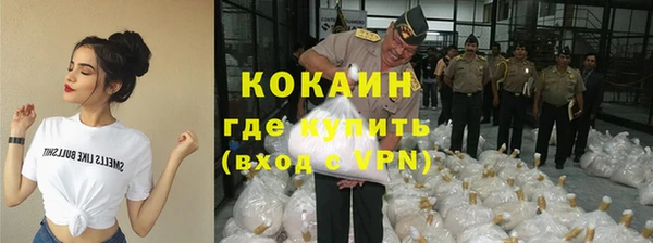 гидра Вязьма