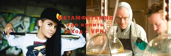 гидра Вязьма