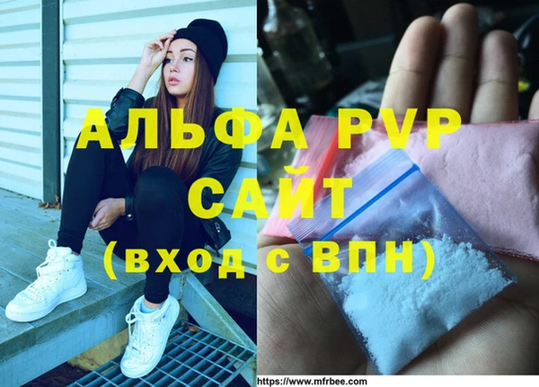 гидра Вязьма