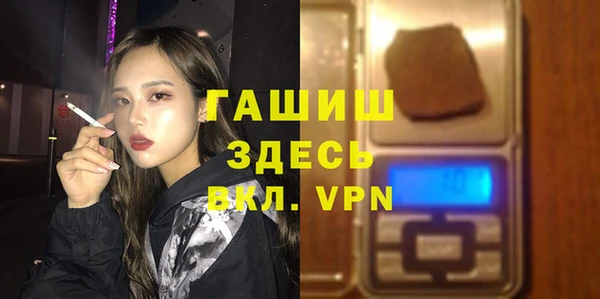 гидра Вязьма