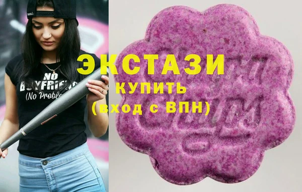 гидра Вязьма