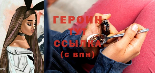 гидра Вязьма