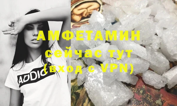 гидра Вязьма