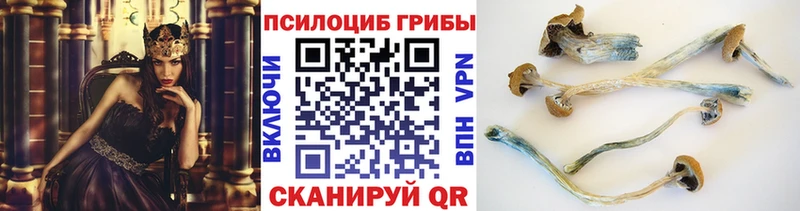 Псилоцибиновые грибы Magic Shrooms Сенгилей